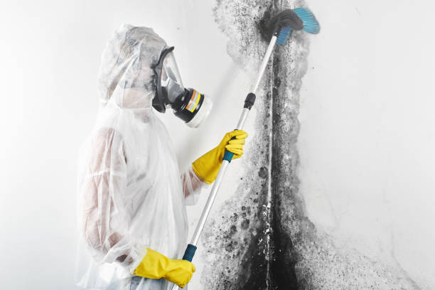 Asbestos and Lead Testing During Mold Inspection in Ocala Estates, FL