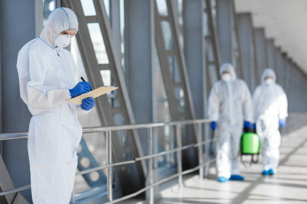 Best Mold Odor Removal Services  in Ocala Estates, FL