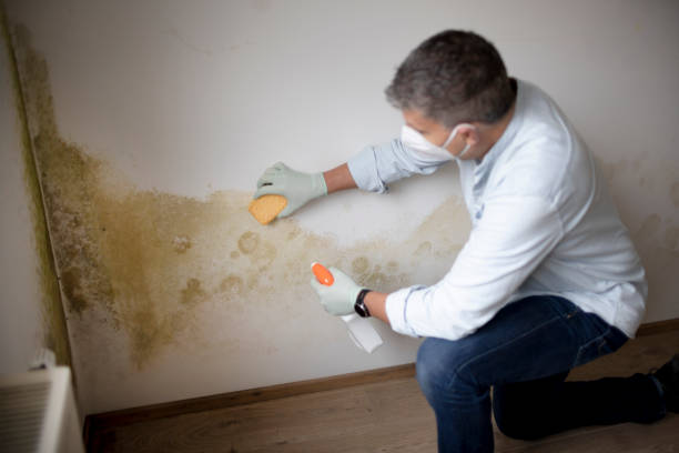 Best HVAC Mold Inspection and Cleaning  in Ocala Estates, FL
