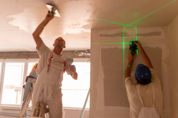 Best Basement Mold Removal  in Ocala Estates, FL